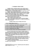 Referāts 'Izvērstās SWOT matricas analīze', 4.