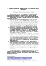 Referāts 'Izvērstās SWOT matricas analīze', 11.