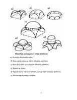 Referāts 'Bizantijas arhitektūra 5.-15.gadsimtā', 7.