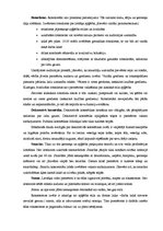 Konspekts 'Sieviešu lietišķais apģērbs', 4.