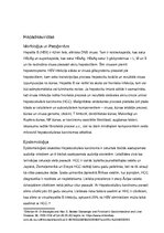 Referāts 'Vīrusu infekcijas, kas izraisa vēzi', 11.