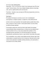 Referāts 'Vīrusu infekcijas, kas izraisa vēzi', 13.