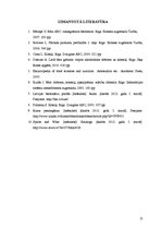 Referāts 'Rums, tā gatavošana un lietošana, sajaukšana ar citiem dzērieniem', 13.