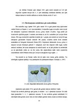 Diplomdarbs 'Pārrobežu piesārņojums jutīgā teritorijā: Platones upes baseins', 60.