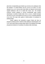 Diplomdarbs 'Pārrobežu piesārņojums jutīgā teritorijā: Platones upes baseins', 62.