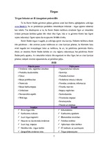 Biznesa plāns 'Inovāciju projekts "BarterBode"', 5.