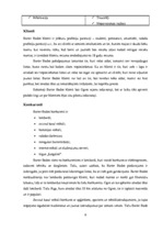 Biznesa plāns 'Inovāciju projekts "BarterBode"', 6.