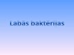 Prezentācija 'Labās baktērijas', 1.
