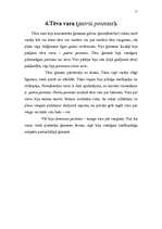 Referāts 'Romas tiesības', 11.