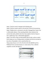 Konspekts 'Clotting Blood Disorders', 4.
