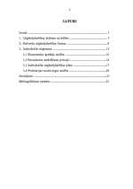 Konspekts 'Individuālā uzņēmējdarbība kā uzņēmējdarbības organizācijas forma', 2.