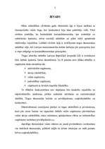 Konspekts 'Individuālā uzņēmējdarbība kā uzņēmējdarbības organizācijas forma', 3.