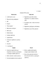 Referāts 'Bankas izvēles ietekmējošie faktori Latvijā', 12.