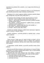 Referāts 'Uzņēmuma "X" personāla daļas vadība', 39.