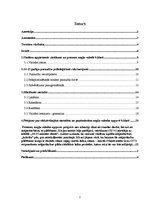 Referāts 'Efektīvākās macīšanās metodes angļu valodas apguvē 9.klasē', 5.