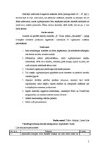 Konspekts 'Informācijas tehnoloģiju izmantošana latviešu valodas stundās', 7.