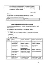 Konspekts 'Informācijas tehnoloģiju izmantošana latviešu valodas stundās', 23.