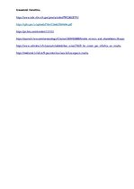 Referāts 'Insults un tam līdzīgie stāvokļi', 7.