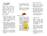 Referāts 'Dabīgās kosmētikas lietošanas paradumi jauniešu vidū', 46.