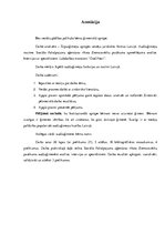 Referāts 'Zinātniski pētnieciskais darbs par audžuģimenēm Latvijā', 3.