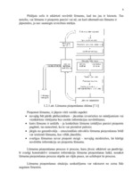 Referāts 'Lēmumu pieņemšana grupās', 4.