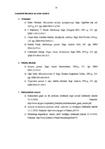 Referāts 'Konkurences stratēģijas un atspoguļojums praksē', 28.