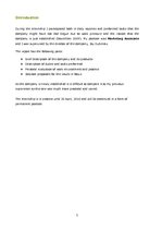 Prakses atskaite 'Internship Report', 2.