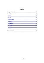 Referāts 'Maira Asare "Sieviešu zona"', 2.