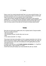 Referāts 'Maira Asare "Sieviešu zona"', 7.