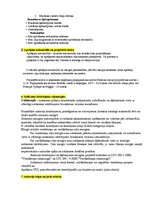 Konspekts 'Autoceļu projektēšanas eksāmena jautājumu konspekts', 6.