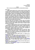 Eseja 'Islāma civilizācija mūsdienu valstī', 1.