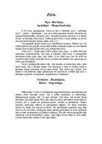 Referāts 'Zivis - plašs apraksts par to grupām', 1.