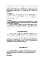 Referāts 'Zivis - plašs apraksts par to grupām', 6.