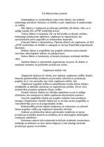 Referāts 'Neeksistējoša uzņēmuma mārketinga vides un stratēģijas analīze, darbības plānoša', 6.