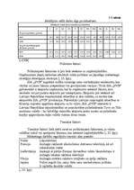 Referāts 'Neeksistējoša uzņēmuma mārketinga vides un stratēģijas analīze, darbības plānoša', 13.