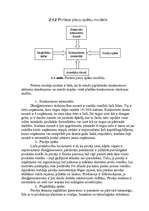 Referāts 'Neeksistējoša uzņēmuma mārketinga vides un stratēģijas analīze, darbības plānoša', 17.