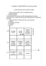 Referāts 'Neeksistējoša uzņēmuma mārketinga vides un stratēģijas analīze, darbības plānoša', 19.