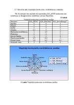 Referāts 'Neeksistējoša uzņēmuma mārketinga vides un stratēģijas analīze, darbības plānoša', 24.
