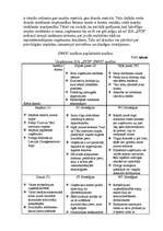 Referāts 'Neeksistējoša uzņēmuma mārketinga vides un stratēģijas analīze, darbības plānoša', 29.