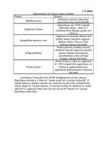 Referāts 'Neeksistējoša uzņēmuma mārketinga vides un stratēģijas analīze, darbības plānoša', 31.