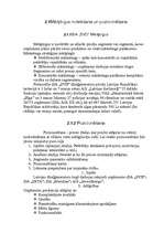 Referāts 'Neeksistējoša uzņēmuma mārketinga vides un stratēģijas analīze, darbības plānoša', 32.