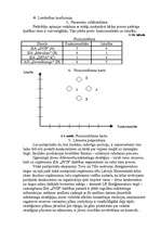 Referāts 'Neeksistējoša uzņēmuma mārketinga vides un stratēģijas analīze, darbības plānoša', 33.