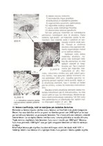 Konspekts 'Betonmācības pirmā semestra eksāmena jautājumi un atbildes', 10.