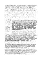 Konspekts 'Betonmācības pirmā semestra eksāmena jautājumi un atbildes', 18.