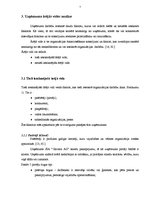 Referāts 'Uzņēmuma "X" vadības sistēma', 14.