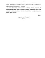 Referāts 'Uzņēmuma "X" vadības sistēma', 32.