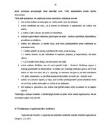Referāts 'Uzņēmuma "X" vadības sistēma', 37.
