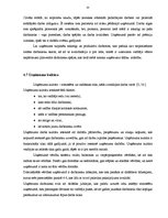 Referāts 'Uzņēmuma "X" vadības sistēma', 40.