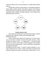 Referāts 'Uzņēmuma "X" vadības sistēma', 53.