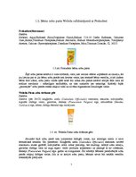 Konspekts 'Zobu un mutes kopšanas līdzekļi', 7.